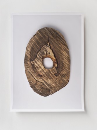 Ruth Weigand With two dead peacocks and a girl