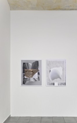 Ruth Weigand With two dead peacocks and a girl
