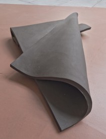 Ruth Weigand With two dead peacocks and a girl