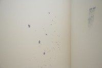 Matjoe_DTHofer_84