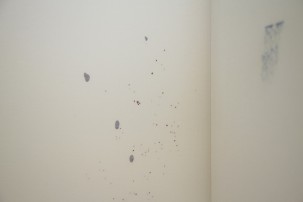 Matjoe_DTHofer_84