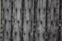 Matjoe_DianeMueller_02-min