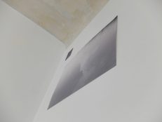 DSCF4273