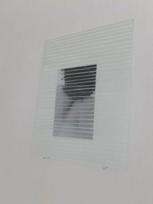 DSCF4286