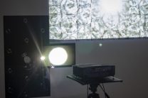 181104_MILANOVA_IMG_0034