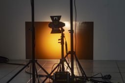 181104_MILANOVA_IMG_0037